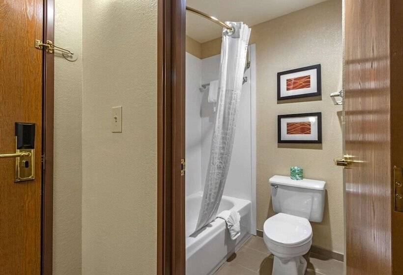 هتل Comfort Inn And Suites Springfield