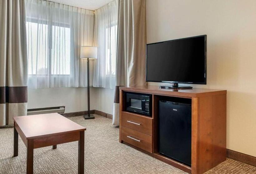호텔 Comfort Inn