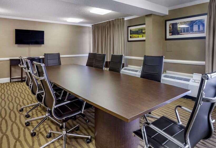 酒店 Comfort Inn & Suites Near Danville Mall