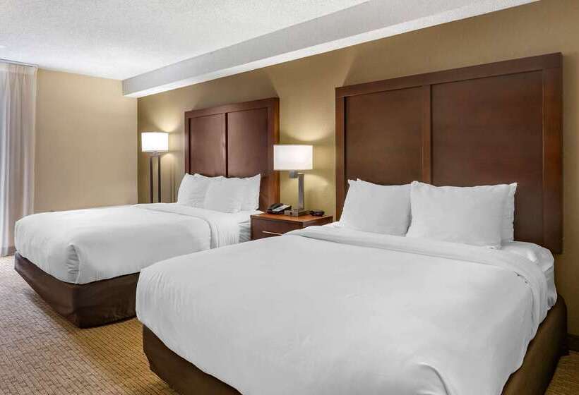 酒店 Comfort Inn & Suites Near Danville Mall