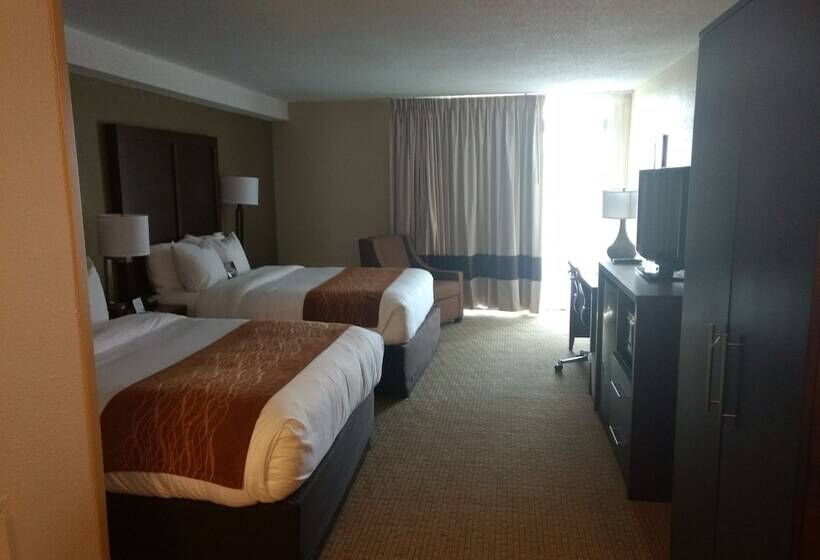 酒店 Comfort Inn & Suites Near Danville Mall