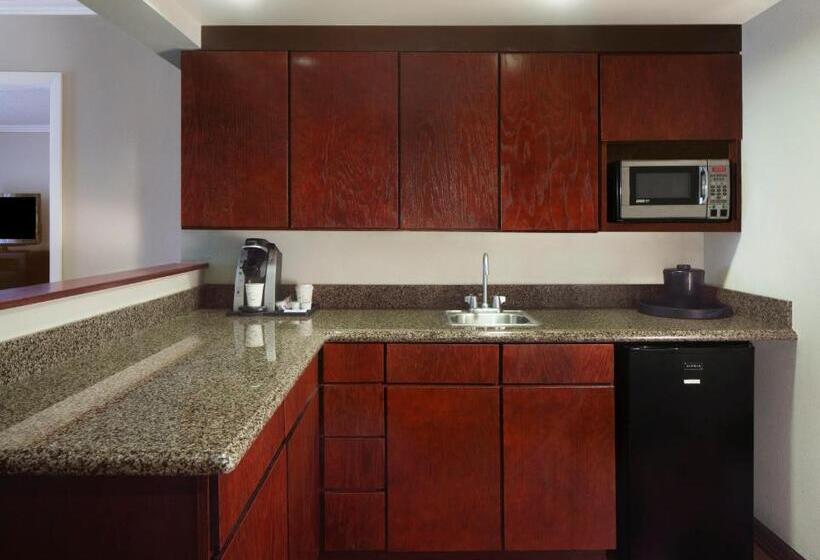 هتل Holiday Inn Corpus Christi Arpt & Conf Ctr, An Ihg