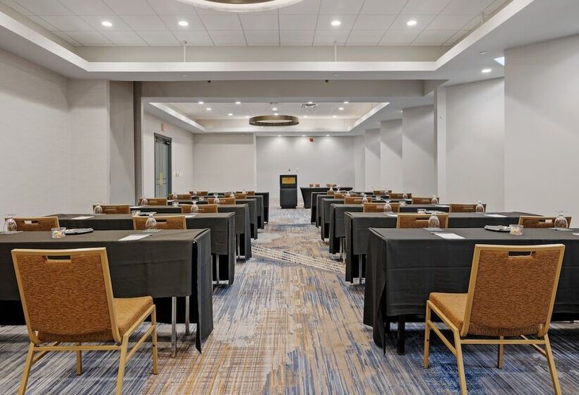 هتل Crowne Plaza Houston Med Ctr Galleria Area, An Ihg