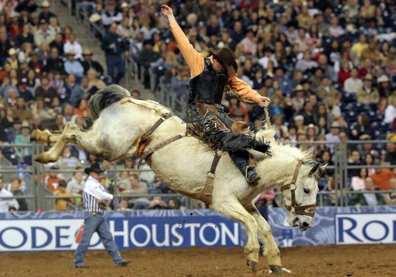 Fotos del hotel Crowne Plaza Hotel Houston River Oaks, An Ihg:  25