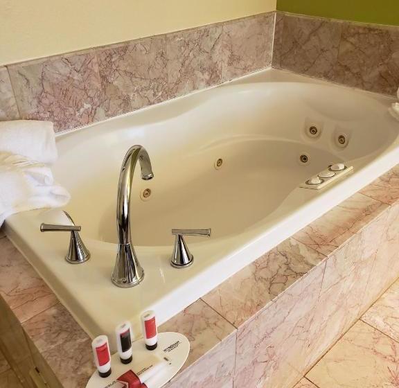 בית מלון כפרי Days Inn By Wyndham Asheville/mall
