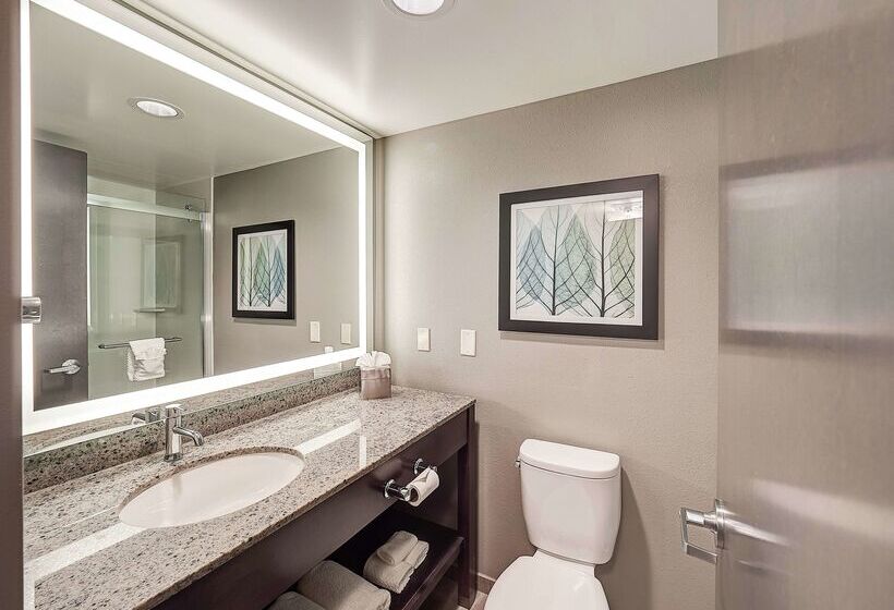 Doubletree By Hilton Hotel Bloomington
