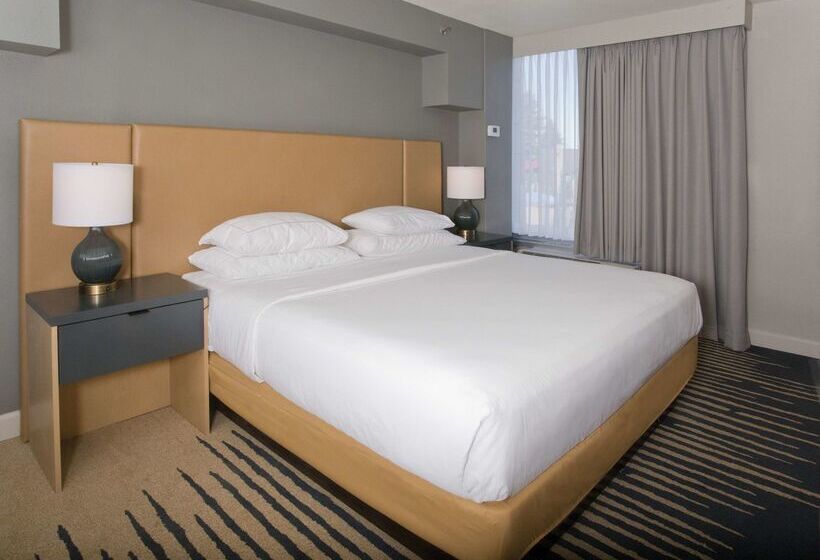 هتل Doubletree By Hilton Chico