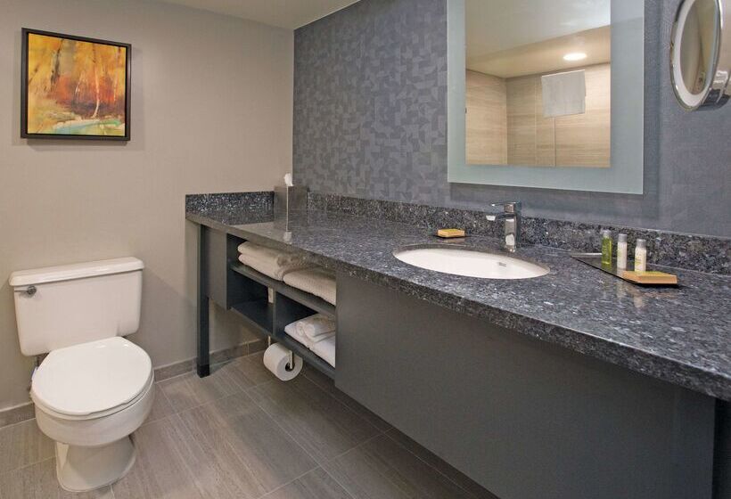 هتل Doubletree By Hilton Chico