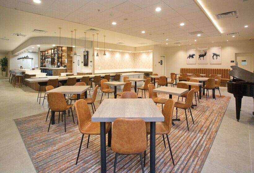 هتل Doubletree By Hilton Chico