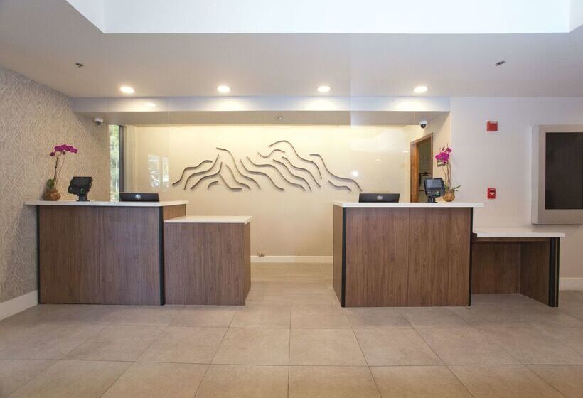 هتل Doubletree By Hilton Chico