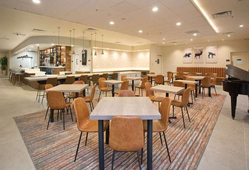 هتل Doubletree By Hilton Chico
