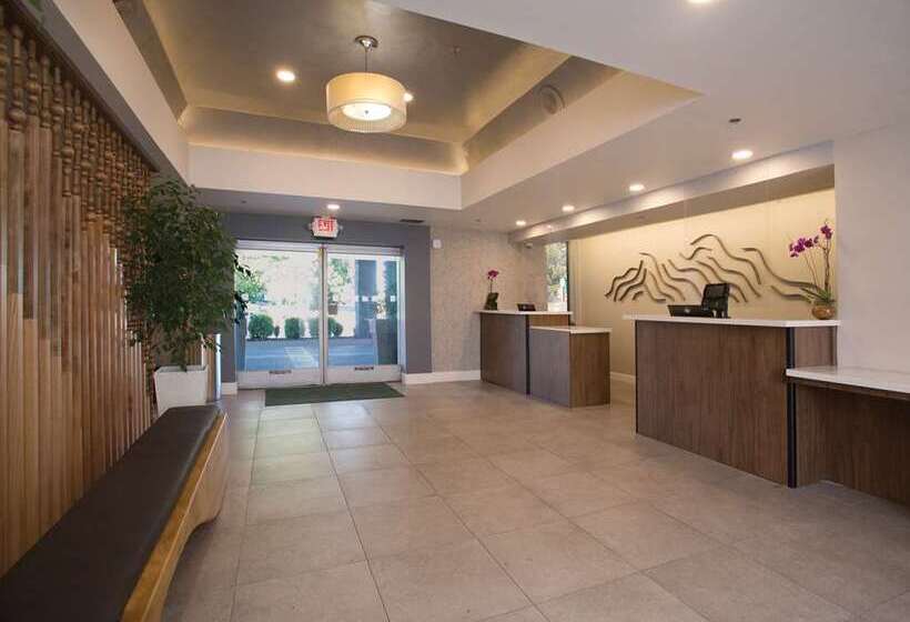 هتل Doubletree By Hilton Chico