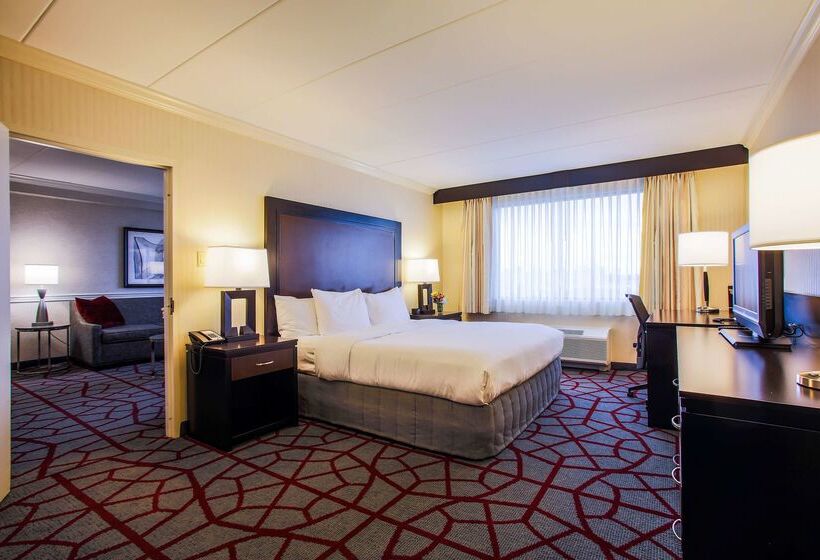هتل Doubletree By Hilton Chicago Alsip
