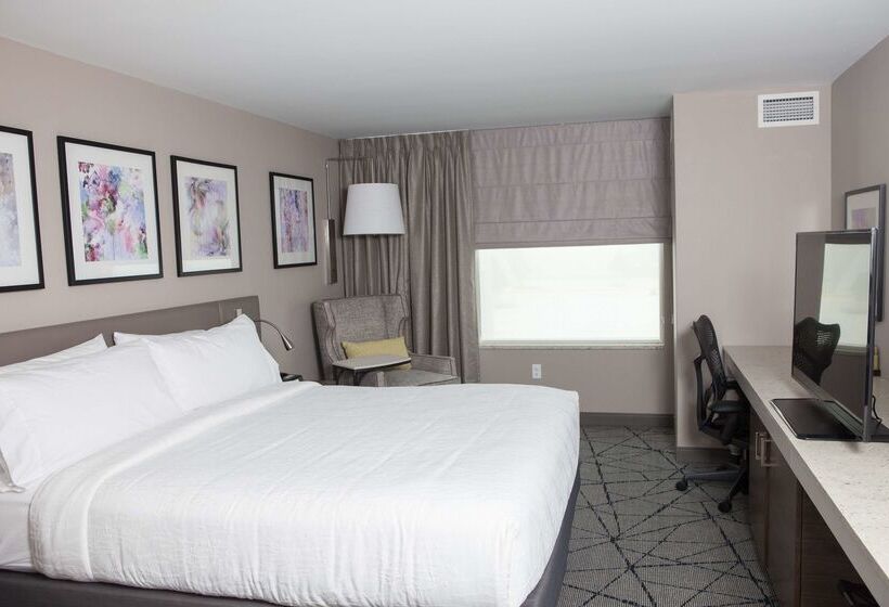 호텔 Hilton Garden Inn Springfield