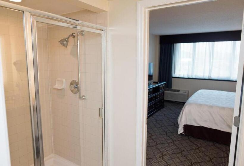 Hotel Holiday Inn Birmingham Airport, An Ihg