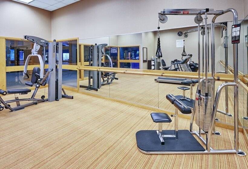 酒店 Holiday Inn Chicago Matteson Conf Center, An Ihg