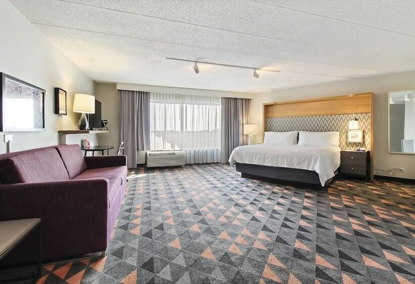 酒店 Holiday Inn Chicago Nw Crystal Lk Conv Ctr, An Ihg