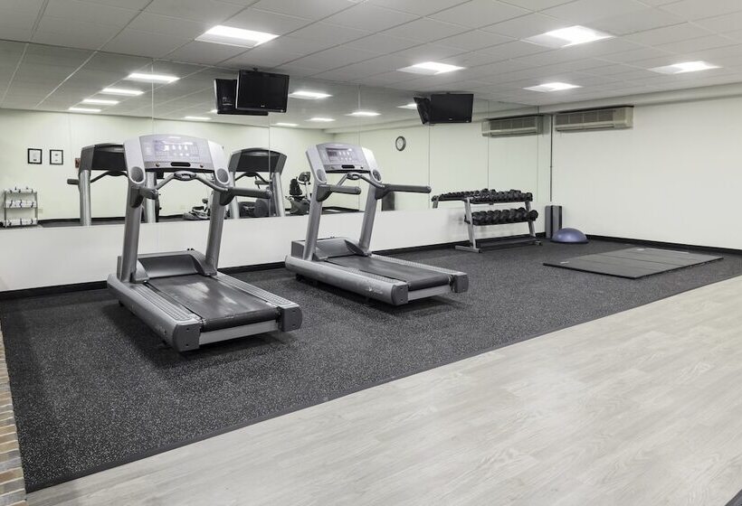 בית מלון כפרי Holiday Inn Chicago Sw Countryside Confctr By Ihg