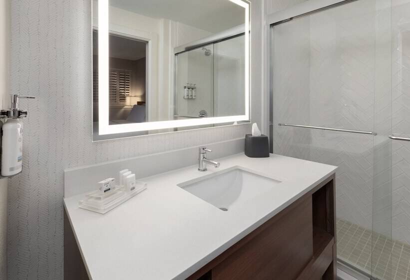 هتل Holiday Inn El Paso West   Sunland Park By Ihg