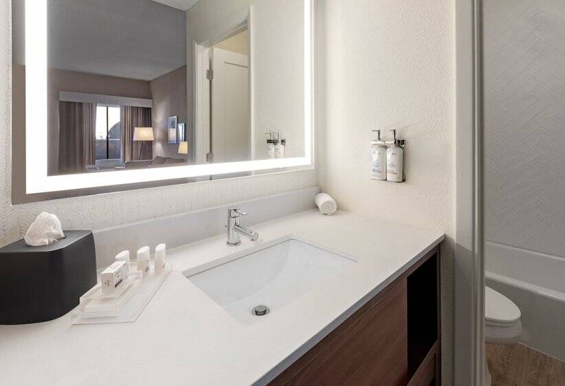 هتل Holiday Inn El Paso West   Sunland Park By Ihg
