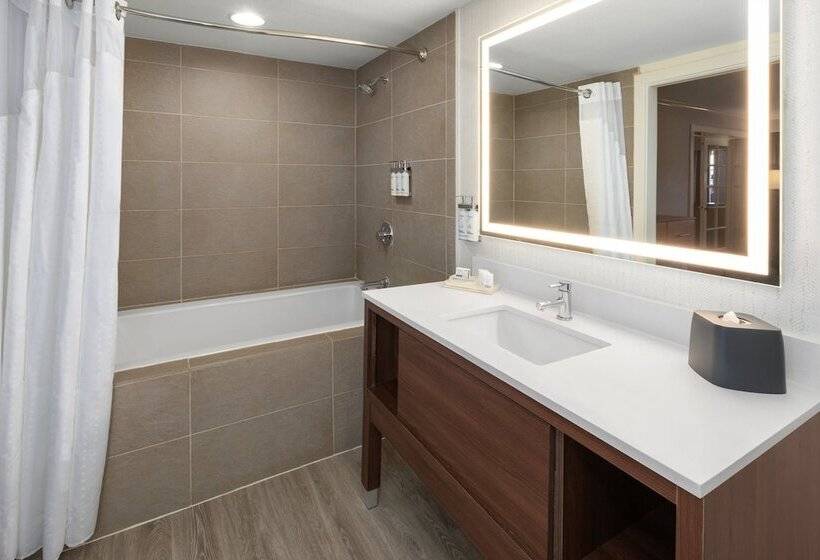 هتل Holiday Inn El Paso West   Sunland Park By Ihg