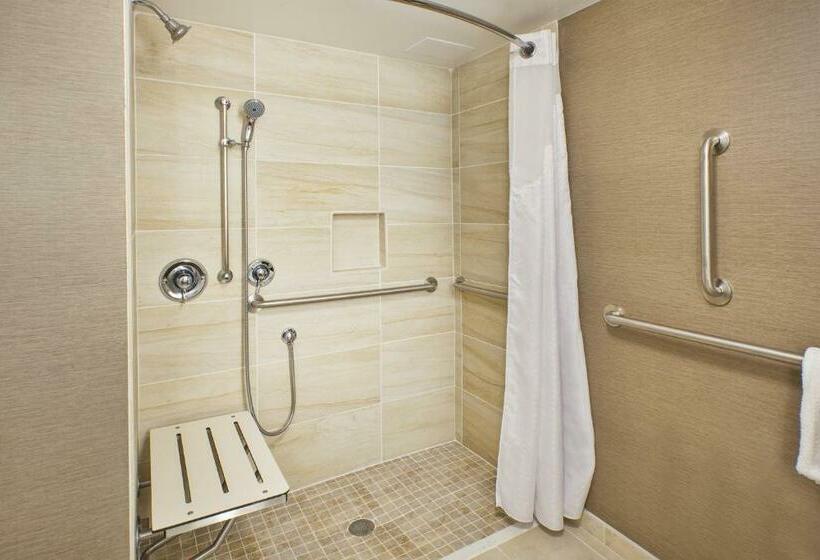 酒店 Holiday Inn Washington Dulles International Airport, An Ihg