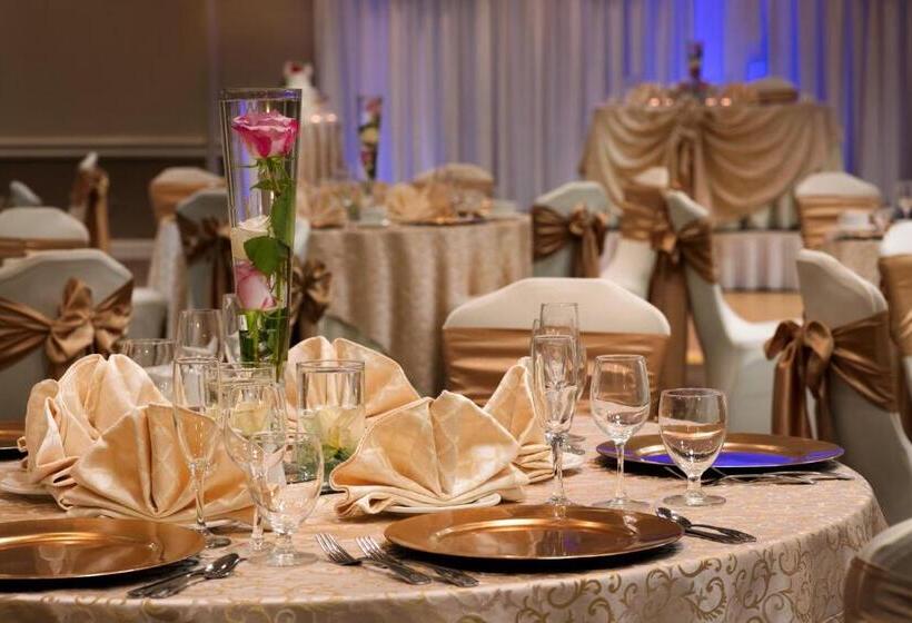 酒店 Holiday Inn Washington Dulles International Airport, An Ihg