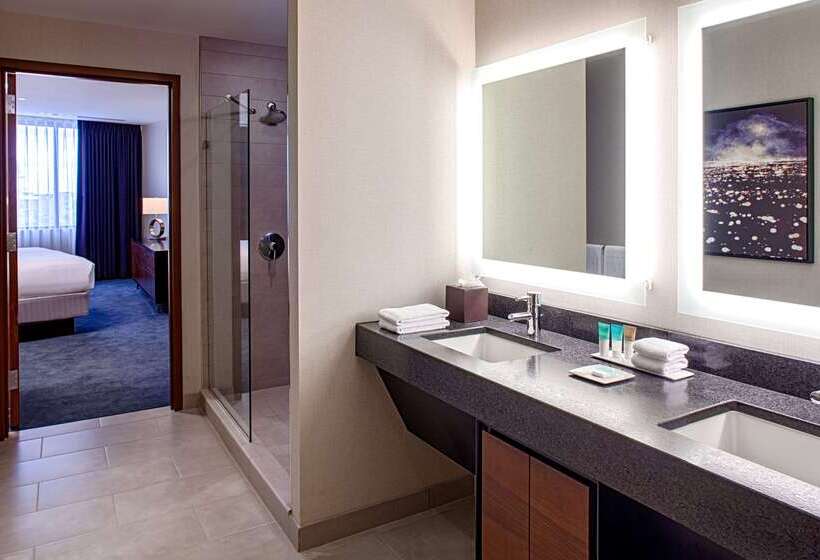 هتل Hyatt Regency Minneapolis