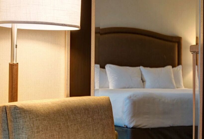 酒店 Hyatt Regency Reston