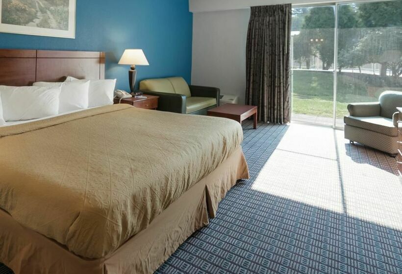 отель в питере greenfield. гринфилд отель санкт-петербург. отель гринфилд великий новгород. отель гринфилд в великом новгороде. отель гринфилд санкт петербург.