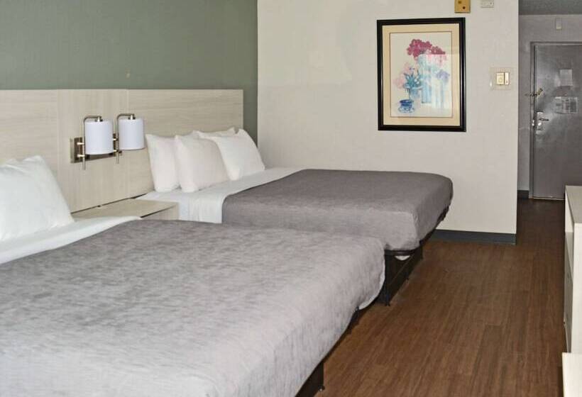 Hotel Quality Inn & Suites East Syracuse  Carrier Circle