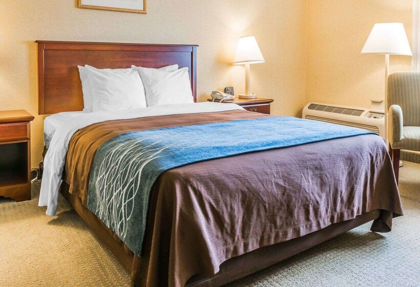 호텔 Rodeway Inn