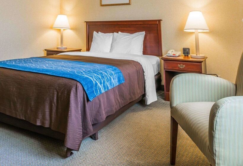 호텔 Rodeway Inn
