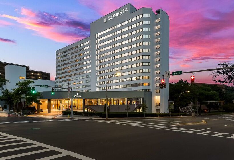 Hotel Sonesta White Plains Downtown