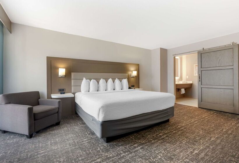 هتل Best Western Plus Sparksreno