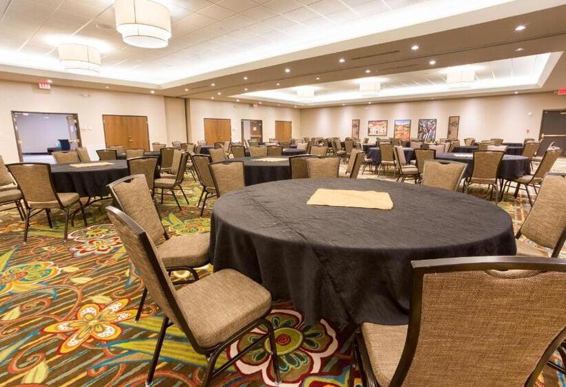 هتل Drury Inn & Suites Mcallen