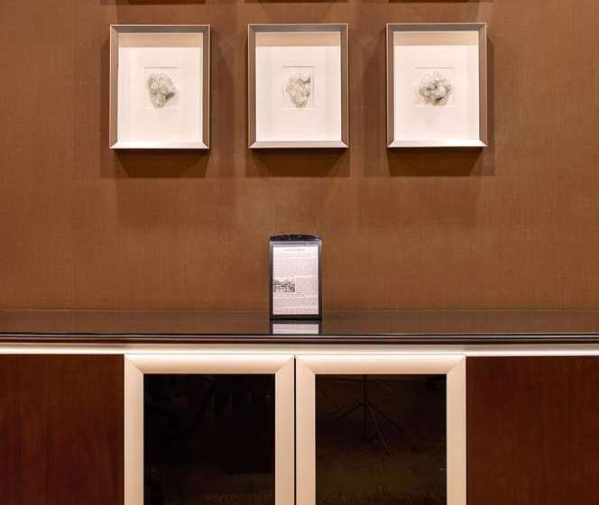 هتل Hilton Denver City Center