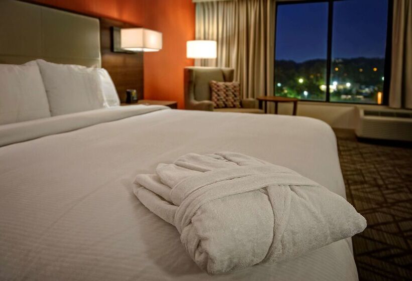 هتل Hilton Knoxville Airport