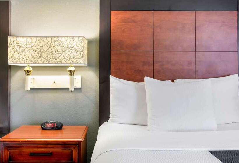 هتل La Quinta By Wyndham Dfw Airport South / Irving