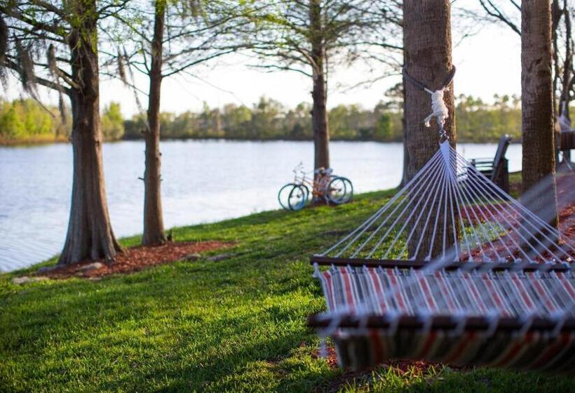 Fotos del hotel Marriott Orlando Airport Lakeside:  22