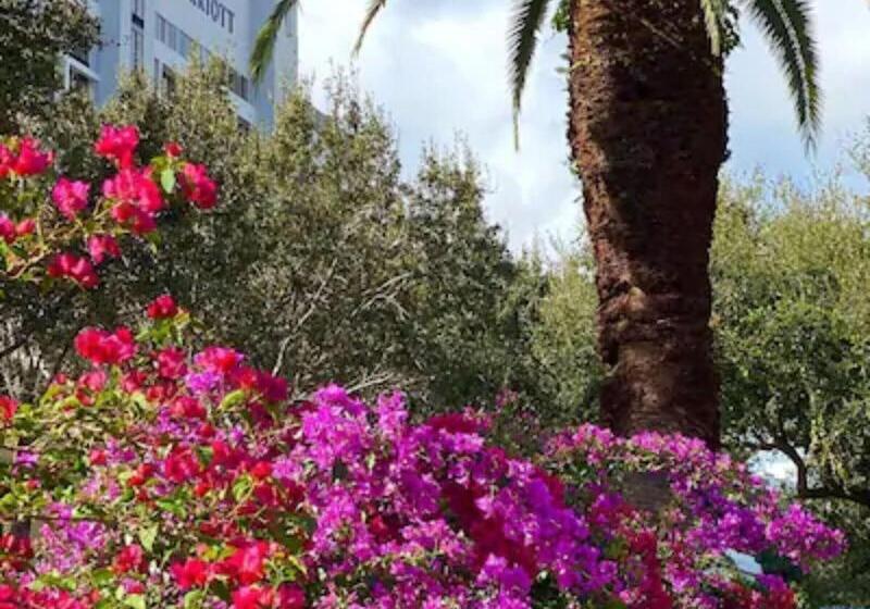 בית מלון כפרי Palm Beach Gardens Marriott