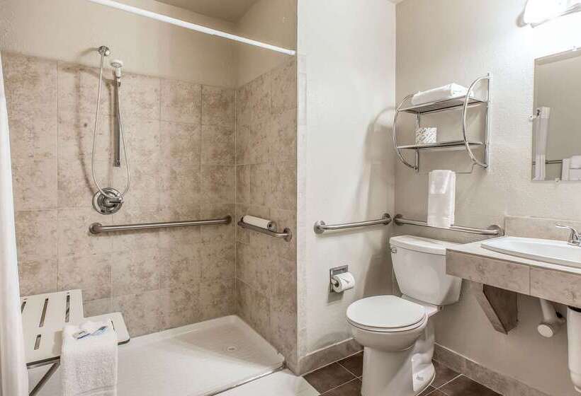 Отель Rodeway Inn