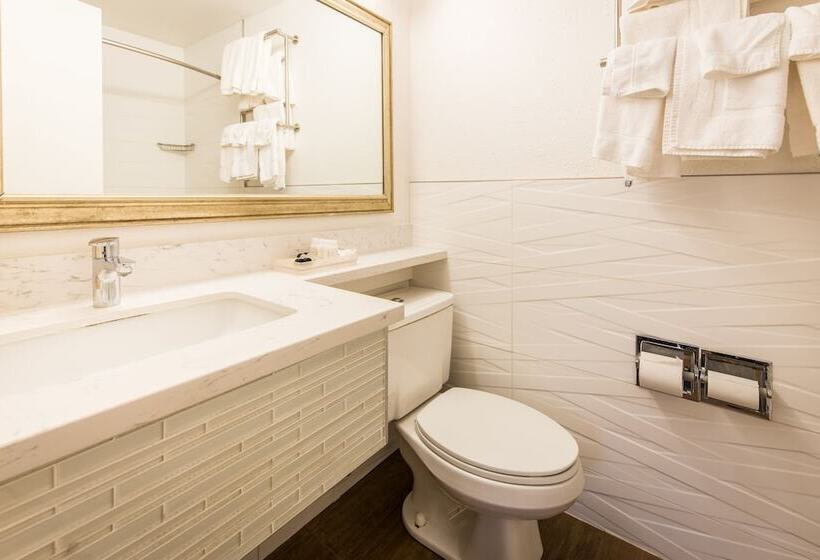 هتل Soma Park Inn
