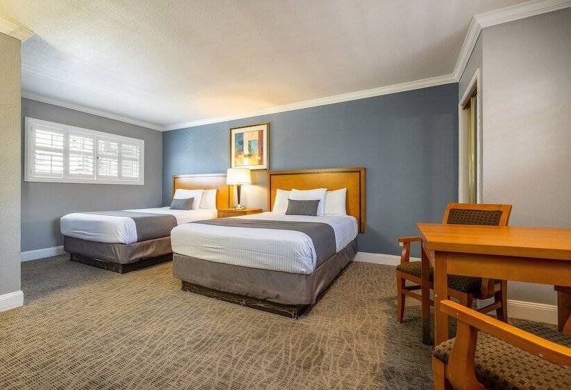 هتل Soma Park Inn