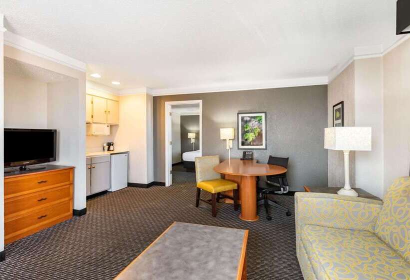 Hotel Travelodge By Wyndham El Paso  Airport