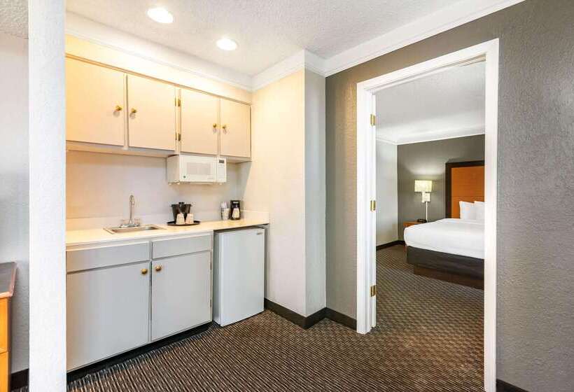 هتل Travelodge By Wyndham El Paso  Airport