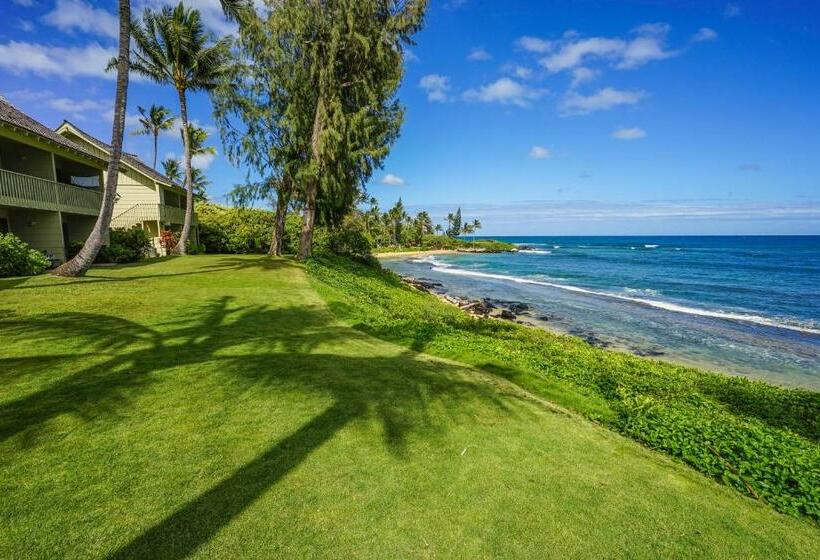 Kapa A Sands #10 Direct Oceanfront Studio Kauai