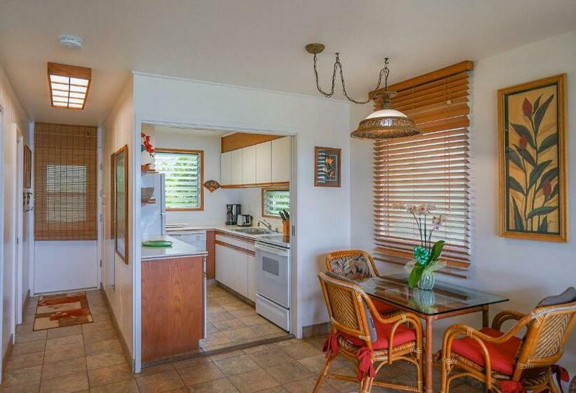Kapa A Sands #10 Direct Oceanfront Studio Kauai