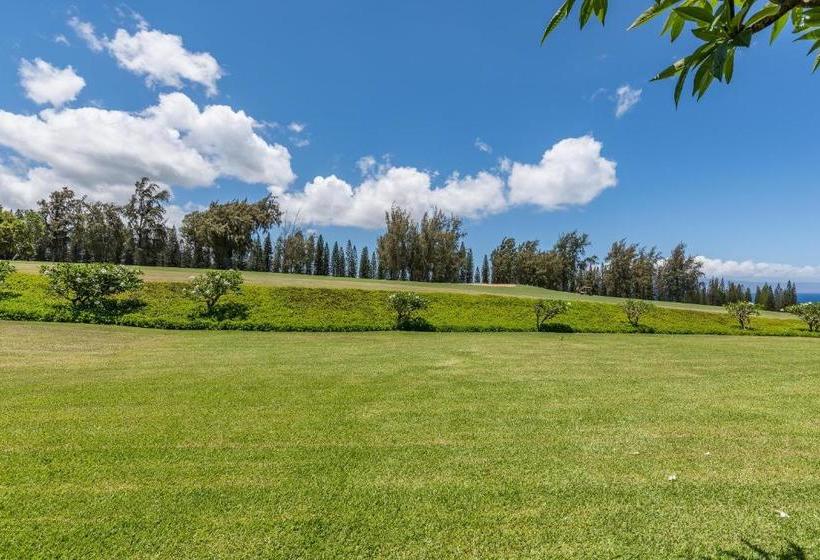 2915 Kapalua Ridge