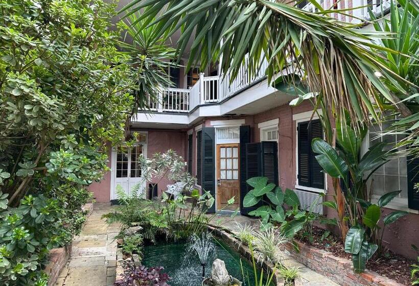 Lamothe House Hotel A French Quarter Guest Houses Property